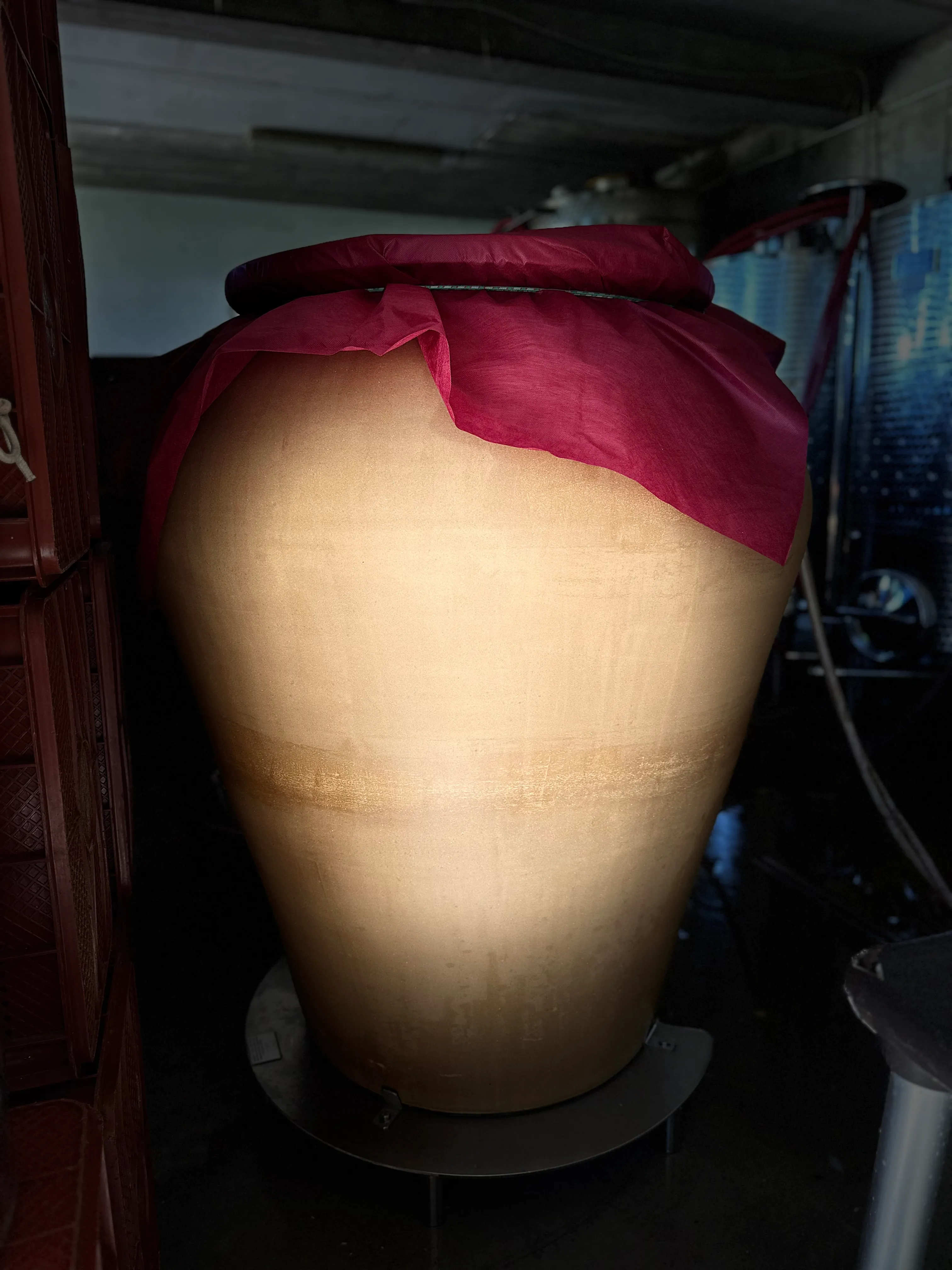 Un’anfora di terracotta in cantina, la bocca coperta da un panno rosso, sotto un’unica luce