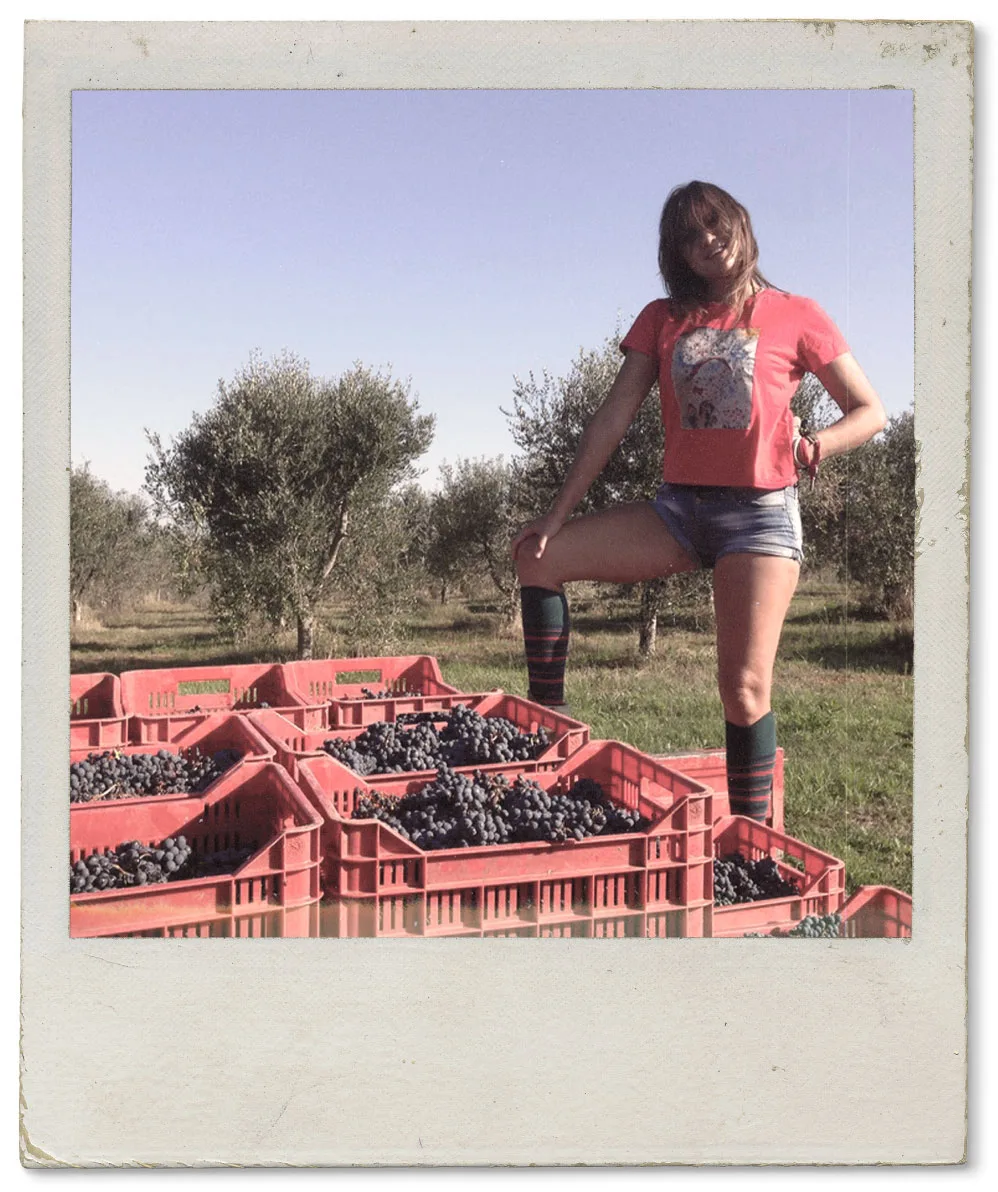 Una fotografia istantanea di Augusta Bargilli tra le cassette d’uva rossa, con gli ulivi sullo sfondo