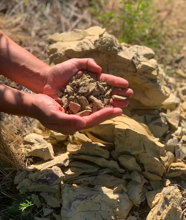 Due mani tengono frammenti di marna e arenaria, sopra la roccia della vigna